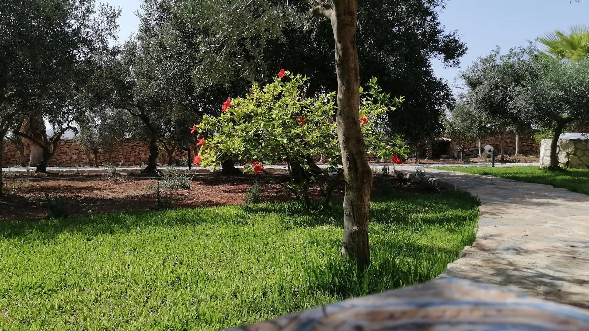Country house Casa Gelsomino Guest House Favignana