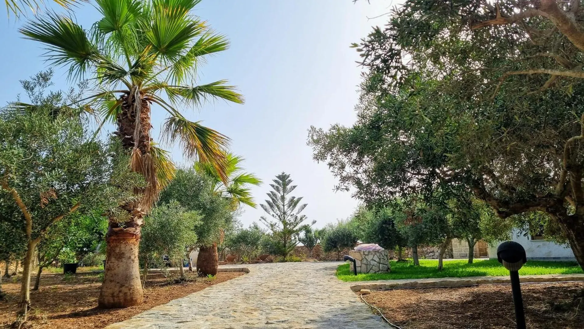 Casa Gelsomino Guest House Favignana